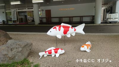 イメージ：トピックス
